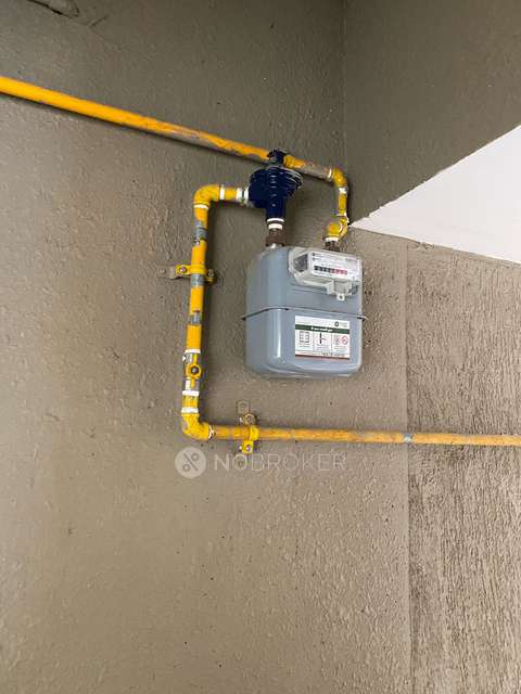 2 BHK Flat In Shapoorji Golfland At Vanaha, Bavdhan for Rent  In Yahavi Vanaha