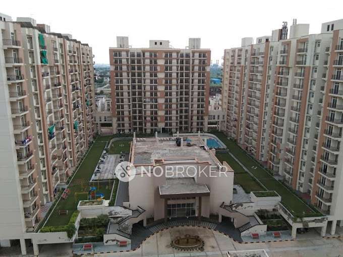 3 BHK Flat In Klj Platinum Floors, Sector 77 for Rent  In Sector 77