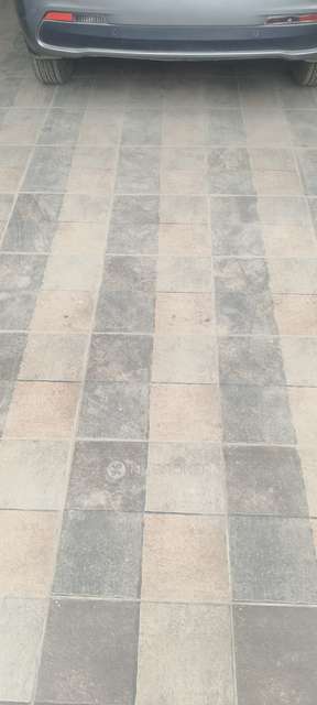 2 BHK Flat In Pinewood Drive for Rent  In Hinjewadi