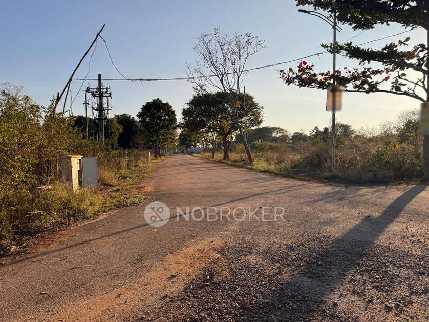Plot For Sale  In Millennia Burgundy Orchards In Rajankunte