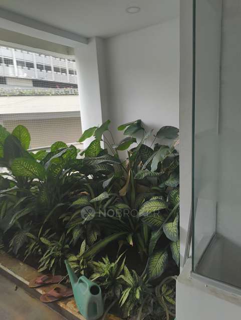 4 BHK Flat In Ncc Urban Gardenia For Sale  In Gachibowli