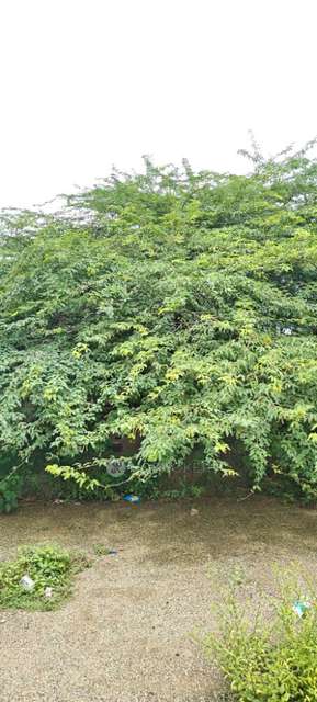 2 BHK House For Sale  In Aziz Nagar