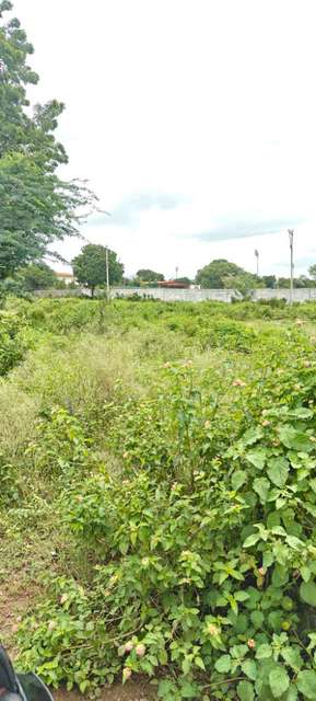 2 BHK House For Sale In Aziz Nagar