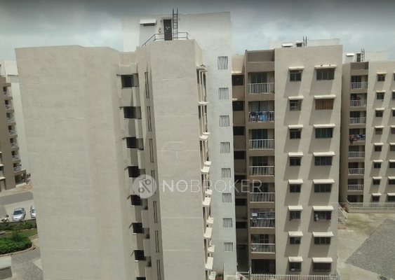 1 BHK Flat In Lodha Casa Rio Gold- Morgana for Rent  In Morgana D