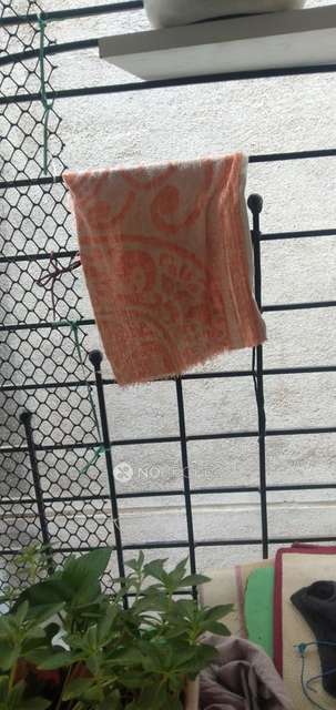 1 BHK Flat In Balaji Residency for Rent  In  Mundhwa