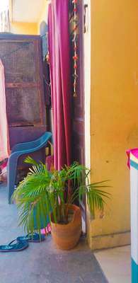 1 BHK Flat For Sale  In  Mayur Vihar 