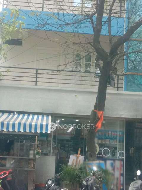 1 BHK Flat In Standalone Building  for Rent  In Lava Kusa Nagar