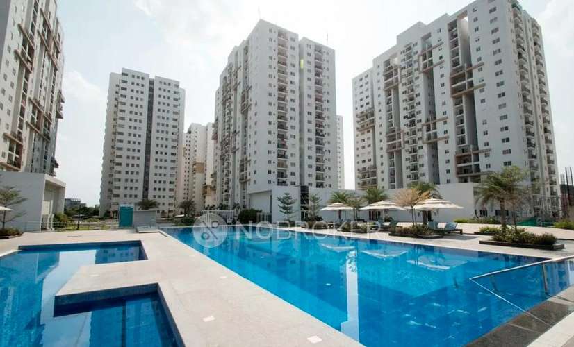 Pbel city Tower G Jade PBEL City Rent WITHOUT BROKERAGE Fully