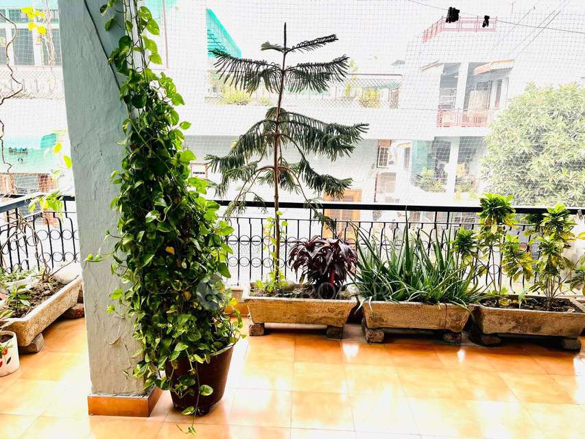 3 BHK Flat In Brij Vihar Apartments For Sale  In Pitam Pura