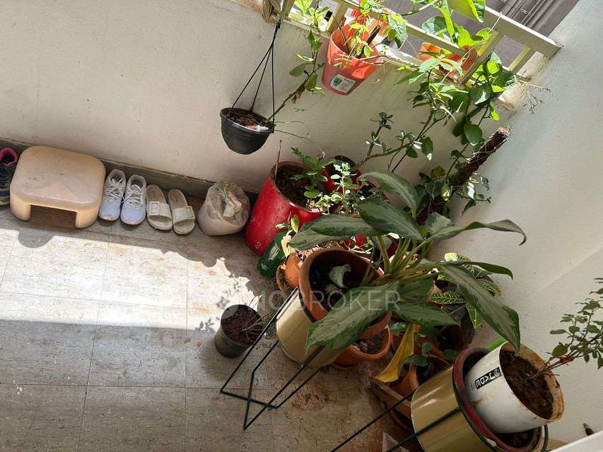 2 BHK Flat In Ds Max Starline for Rent  In Electronic City