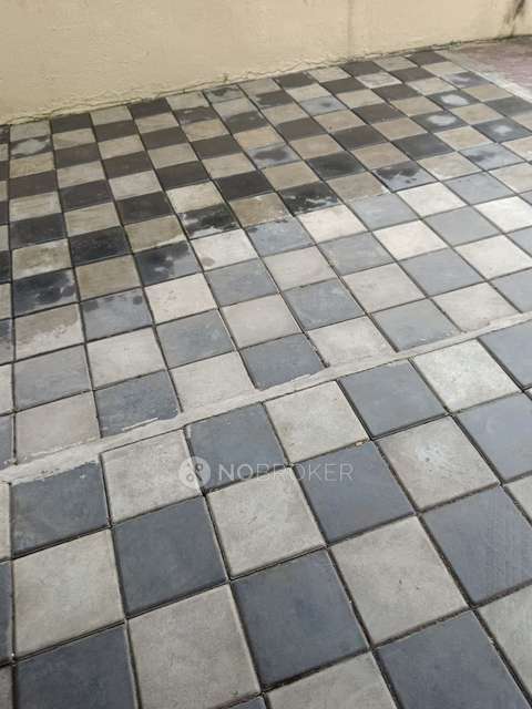 1 BHK Flat In Shivkunj Apartment( Family And Bachelor ) for Rent  In Sector 24, Pradhikaran, Nigdi