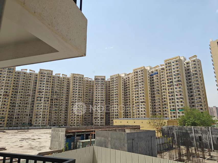 3 BHK Flat In Sare Green Parc For Sale  In Rising Homes At Dxp 92