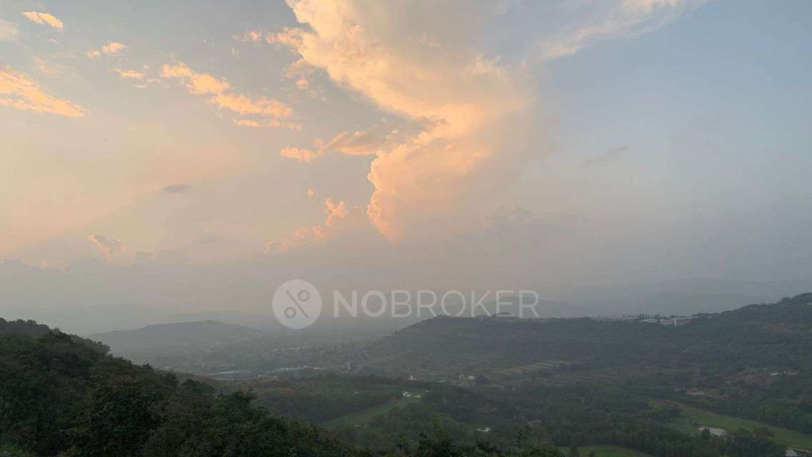 1 BHK Flat In Oxford Golf Resort for Rent  In Bavdhan