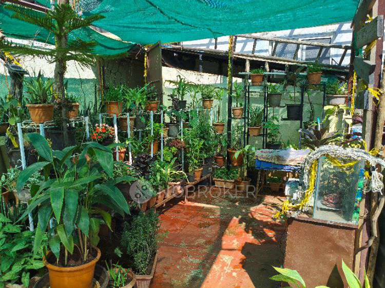 1 RK House for Rent  In Nigdi