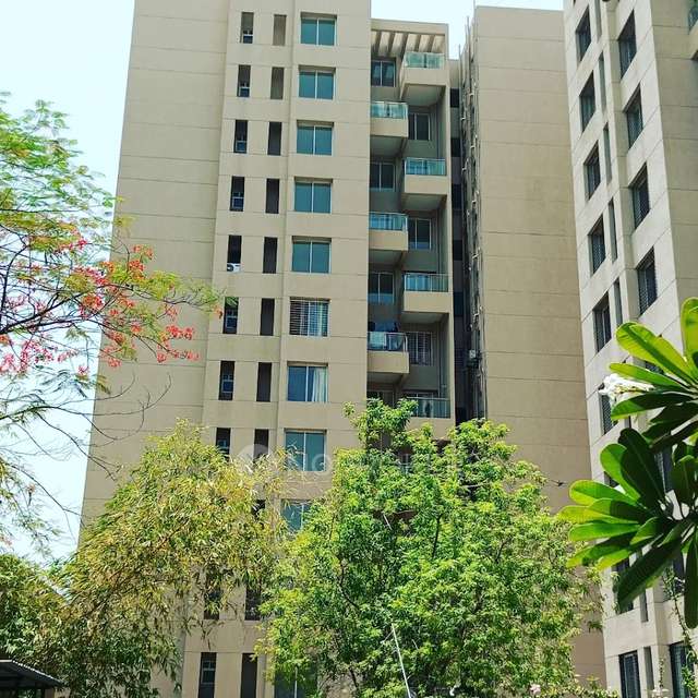 2 BHK Flat In Gulmohar Primrose for Rent  In Wagholi