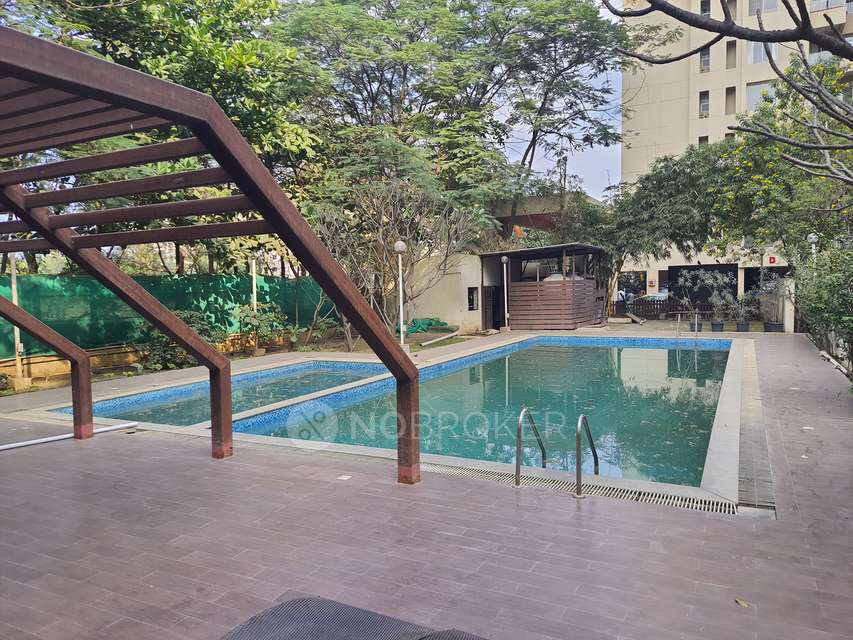 2 BHK Flat In Gulmohar Primrose for Rent  In Wagholi