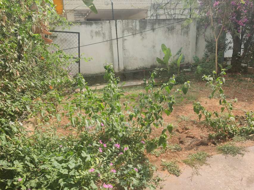 4+ BHK Villa In Nakshatra Villas For Sale  In Chinnappanahalli