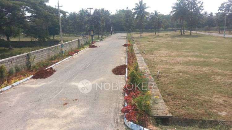 Plot For Sale  In Nimeshadri Estates  In Hejjala