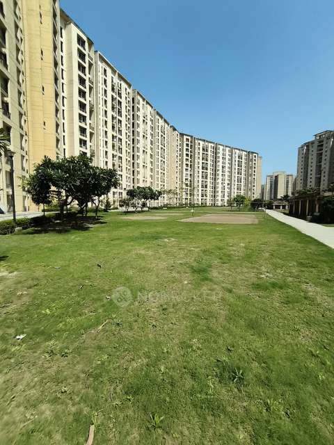 3 BHK Flat In Jaypee Wishtown for Rent  In Sector 134
