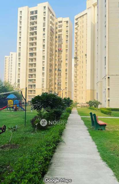 3 BHK Flat In Jaypee Wishtown for Rent  In Sector 134