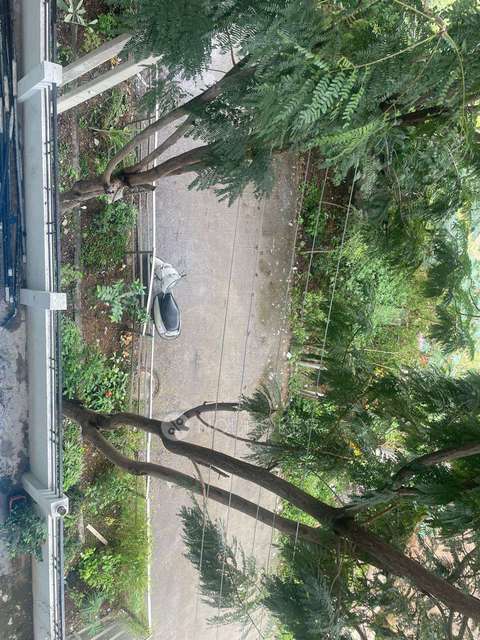 3 BHK Flat In Sai Surya Residency For Sale  In  Borabanda