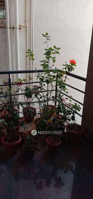 2 BHK Flat In Sk Lakeview Apartment For Sale  In Thanisandra