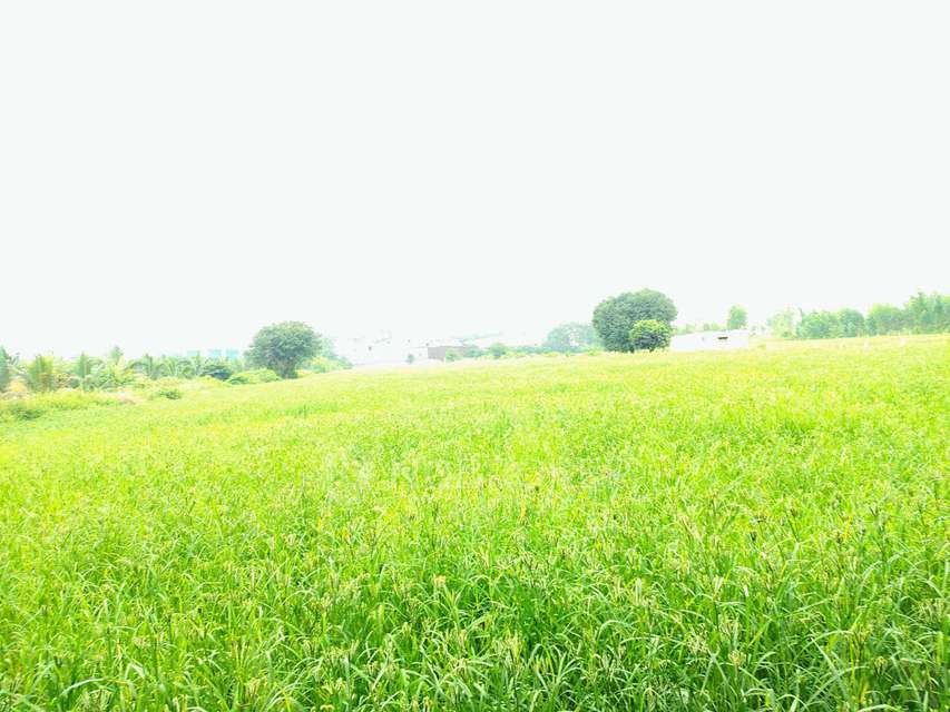 Godown/Warehouse in Neraluru, Bangalore for Rent 