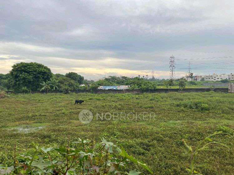 Plot For Sale  In Land In Villivakkam