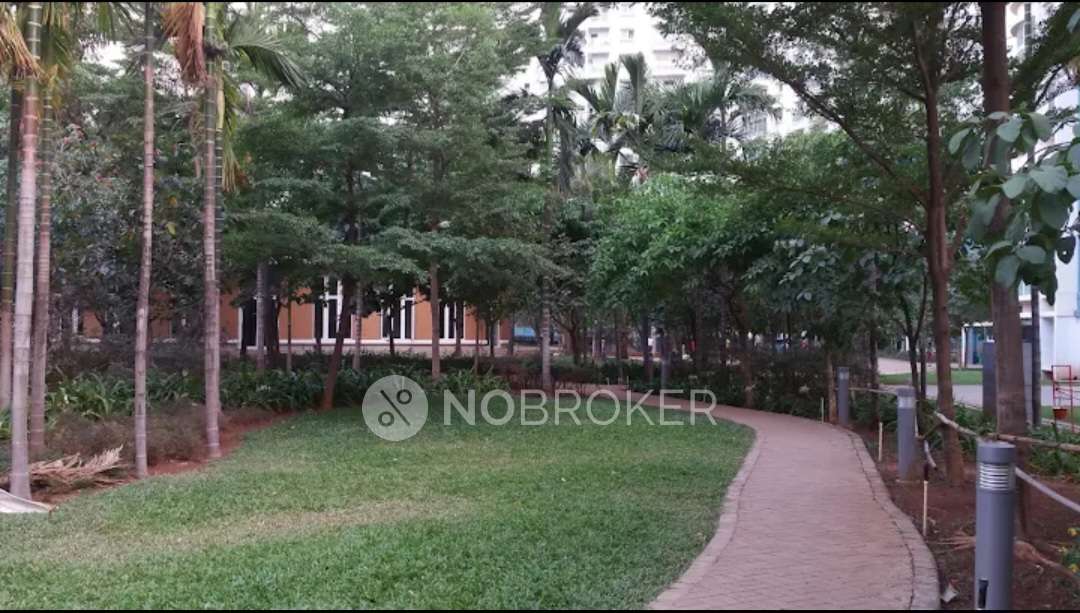 3 BHK Flat In Megapolis Sangria Towers For Sale  In Hinjawadi