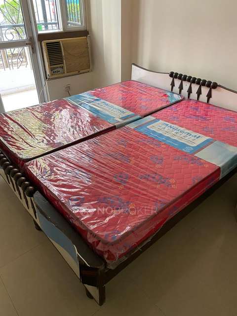 2 BHK Flat In Prateek Wisteria for Rent  In Sector 75