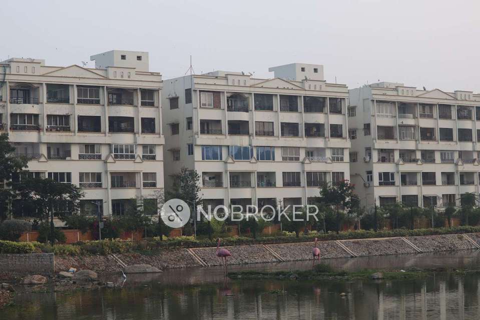 2 BHK Flat In Nectar Gardens for Rent  In Madhapur