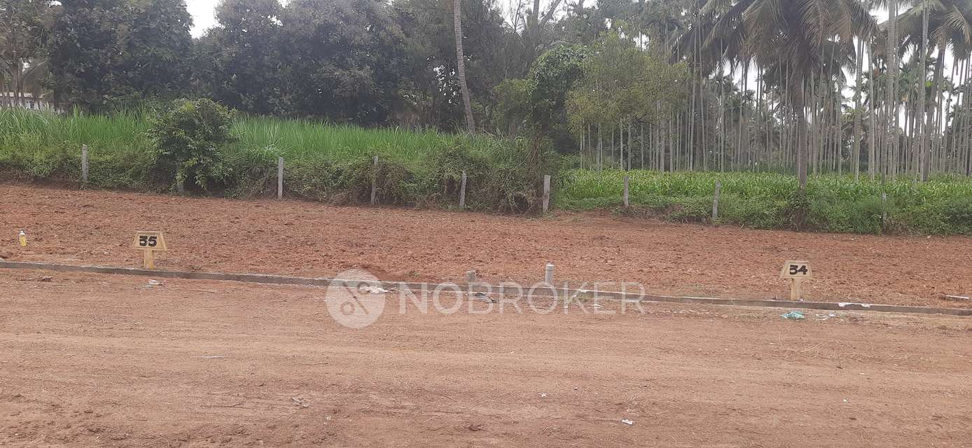 Plot For Sale  In Vaishnavi In Archikarahalli