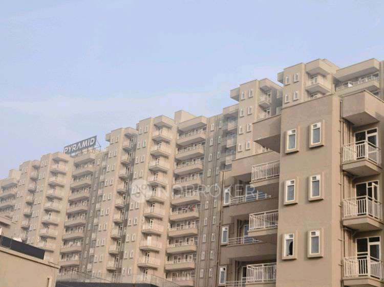 3 BHK Flat In Pyramid Altia for Rent  In Sector 70