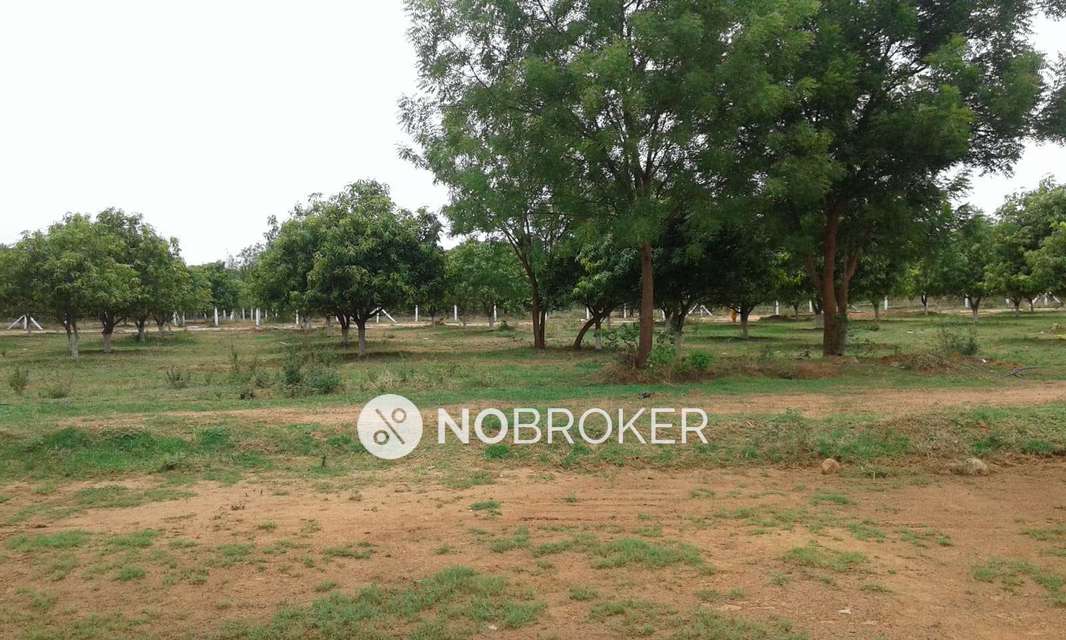 Plot For Sale  In Nri Harivillu In Bachuguda