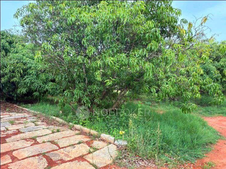 Plot For Sale  In Country Roads In Country Roads Farm Community At Chikkaballapur