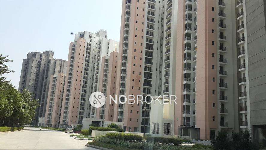 3 BHK Flat In Jaypee Aman for Rent  In Sector 151