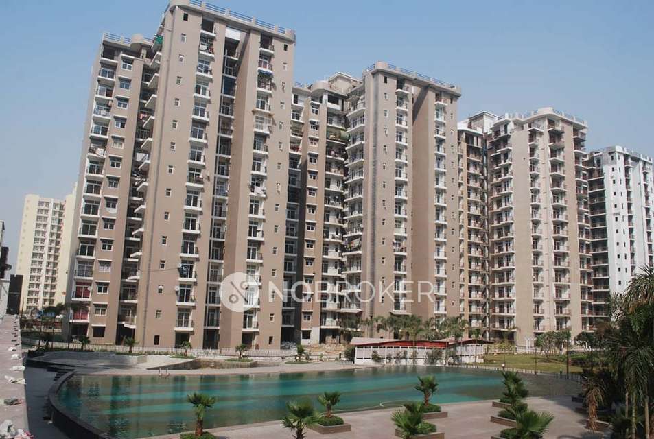 2 BHK Flat In Amrapali Zodiac For Sale  In Sector-120