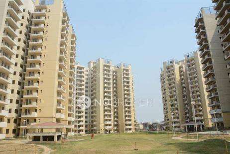 4 BHK Flat In Corona Optus for Rent  In Sector-37 C