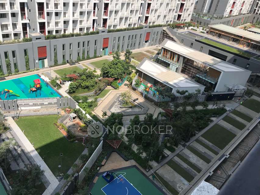 2 BHK Flat In Godrej 24 for Rent  In Hinjewadi