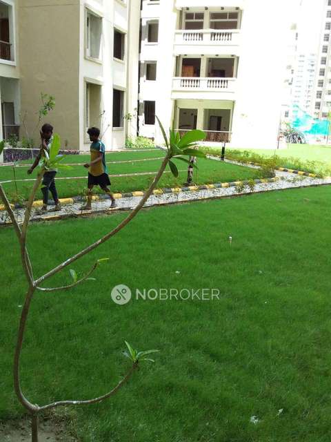 2 BHK Flat In Amarpali Silicon City For Sale  In Sector 76