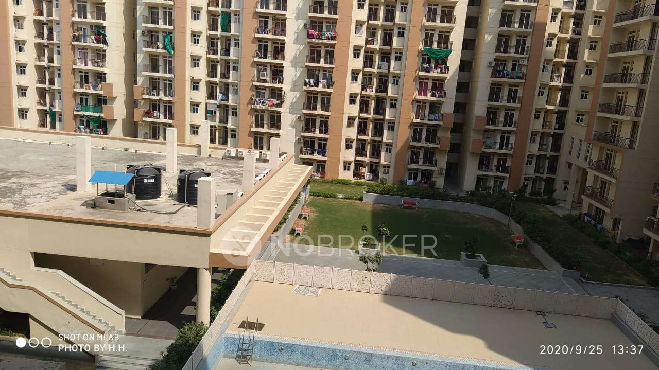 Klj Platinum Heights, Sector 77 Sector 77 Rent WITHOUT BROKERAGE Semi
