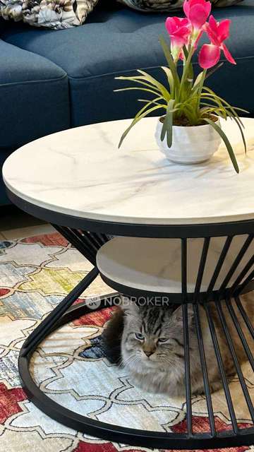 2 BHK Flat In Brigade Bricklane For Sale  In Jakkur