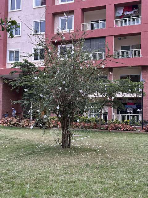 2 BHK Flat In Brigade Bricklane For Sale  In Jakkur