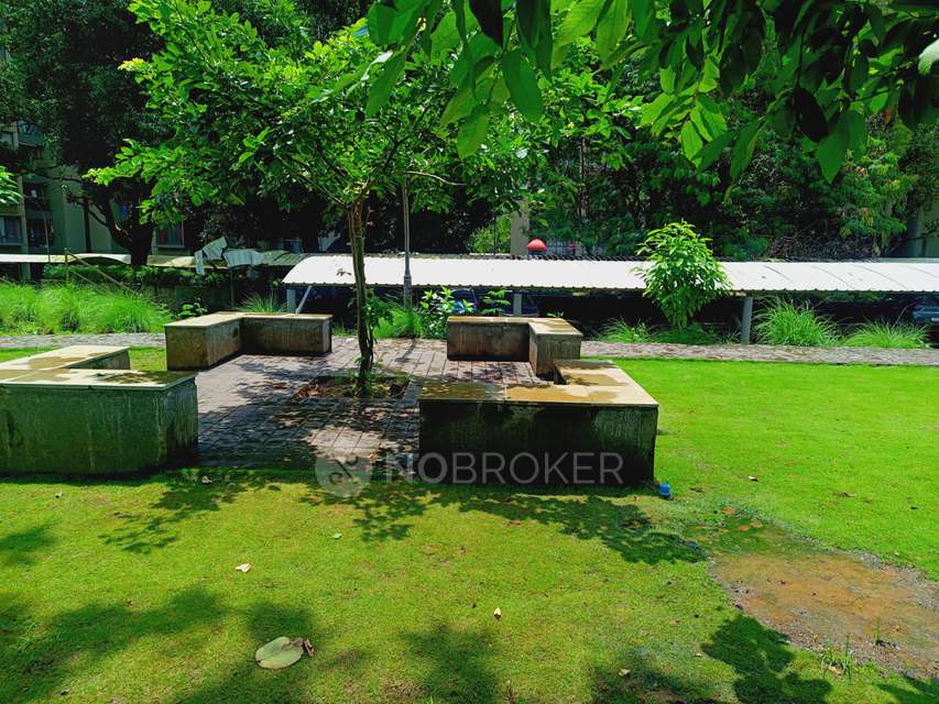 3 BHK Flat In Skyi Star Town  for Rent  In Bhukum