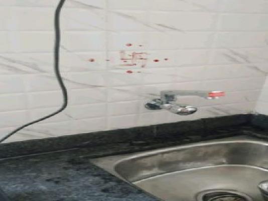 1 BHK Flat In Xrbia Abode for Rent  In Jambhul