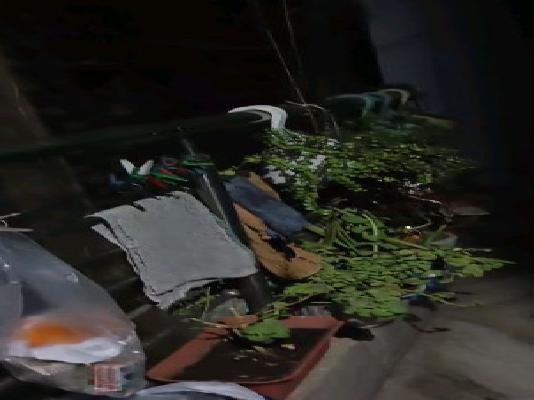 3 BHK Flat In Ap For Sale  In Tri Nagar