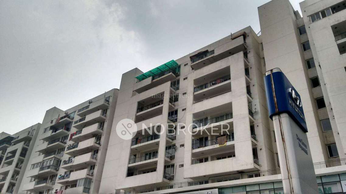 3 BHK Flat In Iris Apart For Sale  In Ghitorni