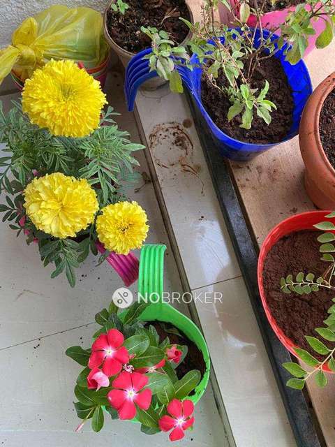 2 BHK Flat In Parkwoods For Sale  In Thane West