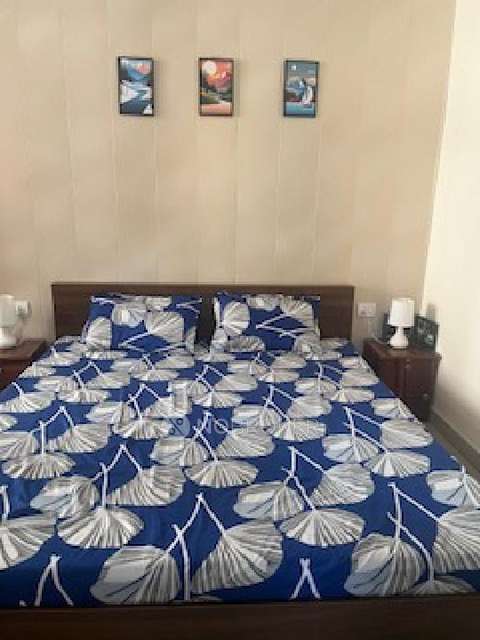 PG for Girls in Omicron I