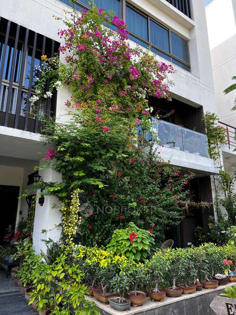 3 BHK Flat In Tata Primanti Villas for Rent  In Sector 72